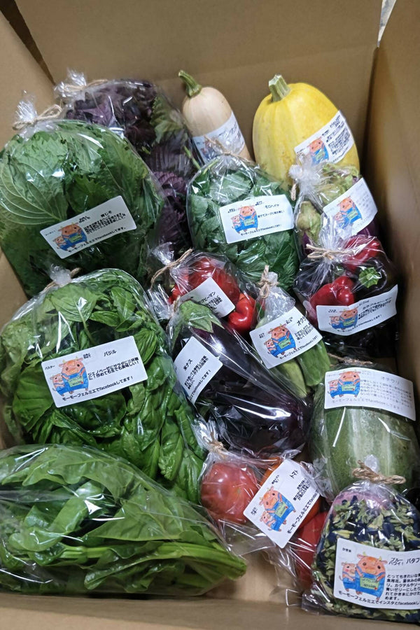 野菜セット